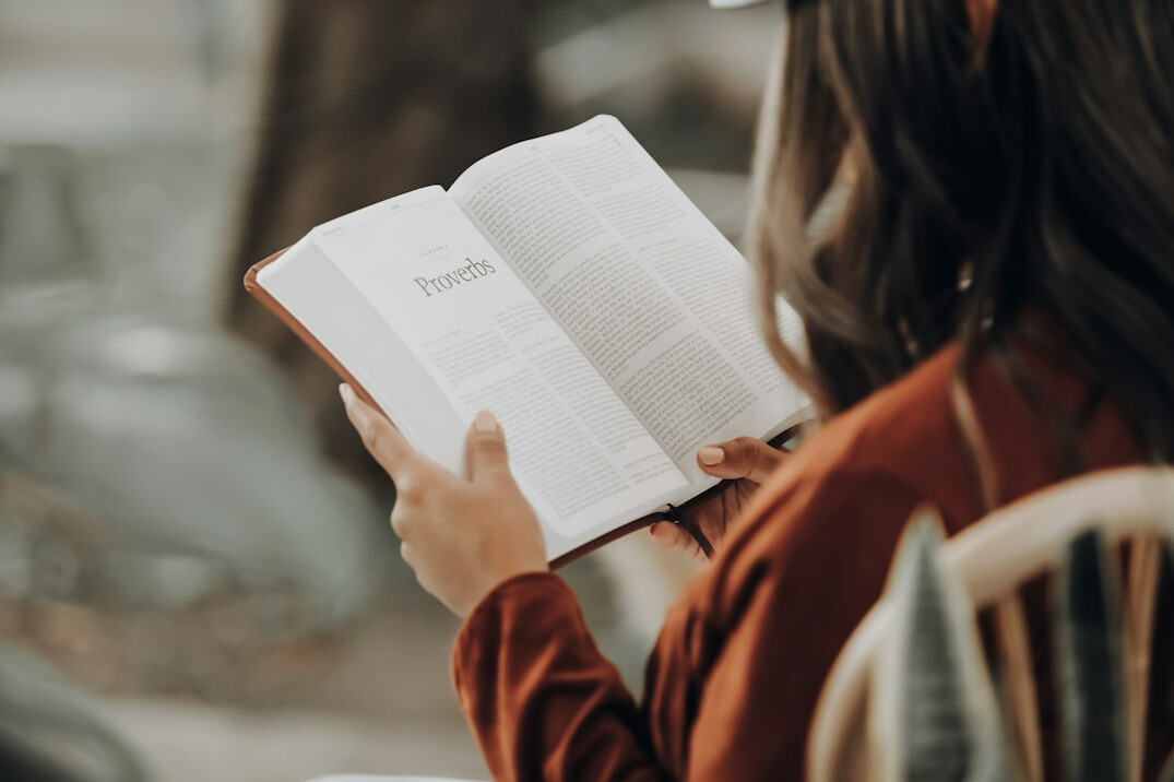 person reading mystery book
