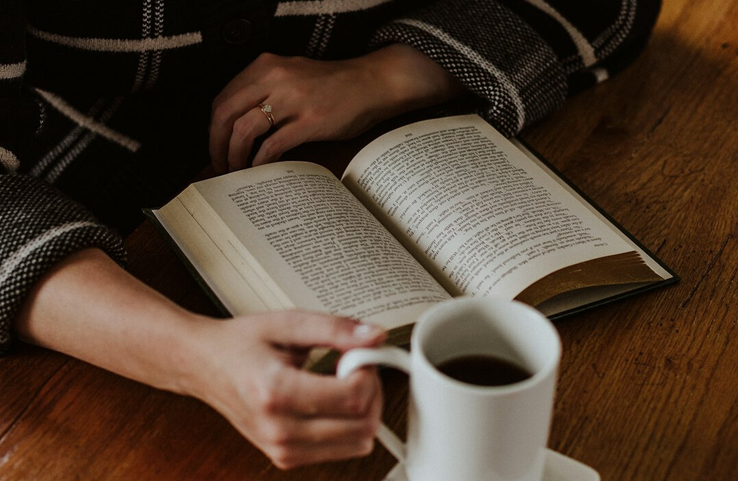 person reading mystery book
